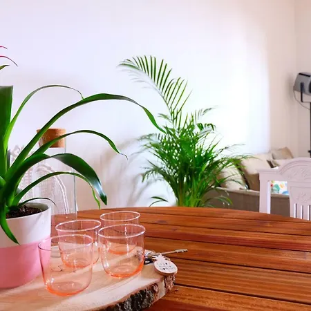 Luz Do Rio アパート