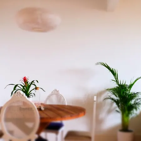 Luz Do Rio * リスボン