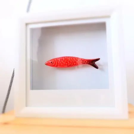 Appartamento Luz Do Rio *